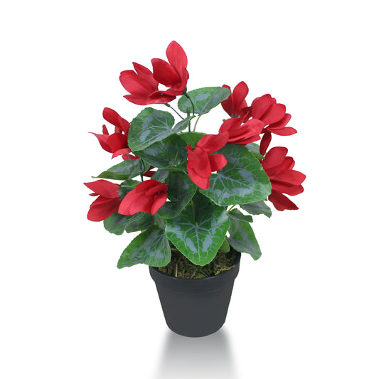 D'aromas Cyclamen Plant Artificial Without Pot Red Flower with Green Leaves
