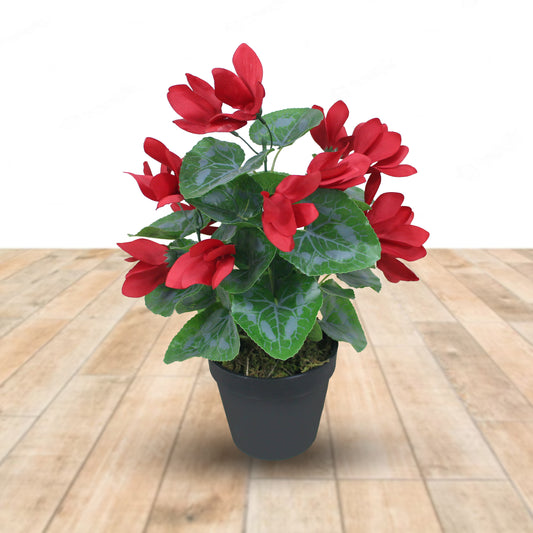 D'aromas Cyclamen Plant Artificial Without Pot Red Flower with Green Leaves