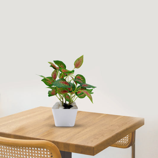 D'aromas Aglaonema Plant Real Touch Artificial Plant Without Pot