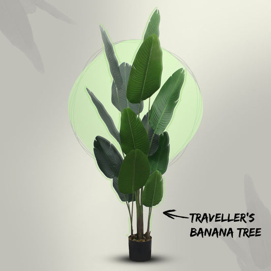 D'aromas Traveller's Banana Tree Artificial Without Pot