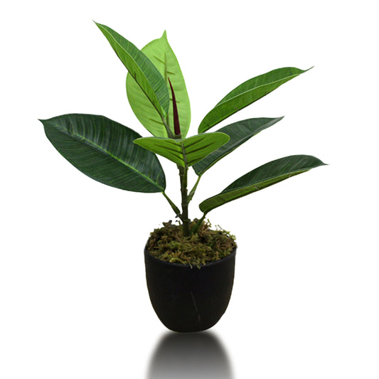 Rubber Real Touch Artificial Plants without Pot