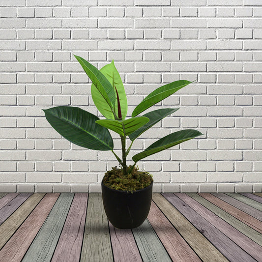 Rubber Real Touch Artificial Plants without Pot