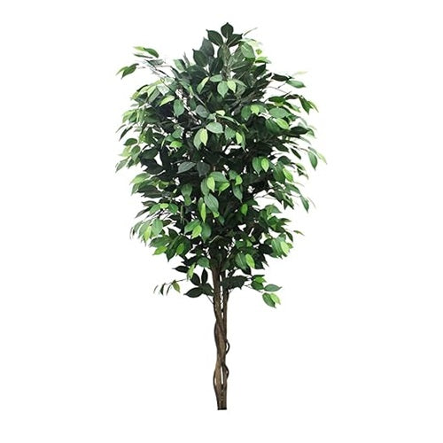 D'aromas Ficus Real Touch Artificial Plant Without Pot