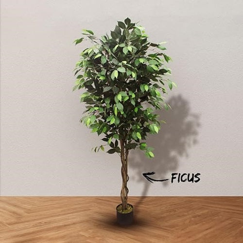 D'aromas Ficus Real Touch Artificial Plant Without Pot