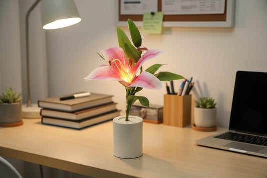 Lily LED Light - Pink