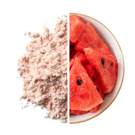 Watermelon Drink Premix Powder