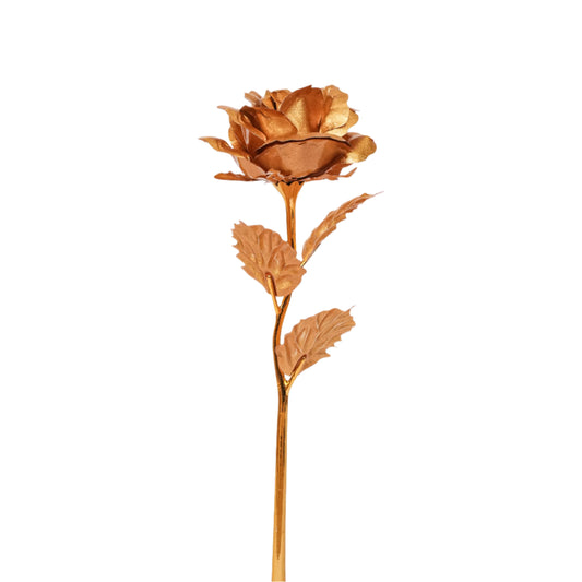 Golden Rose