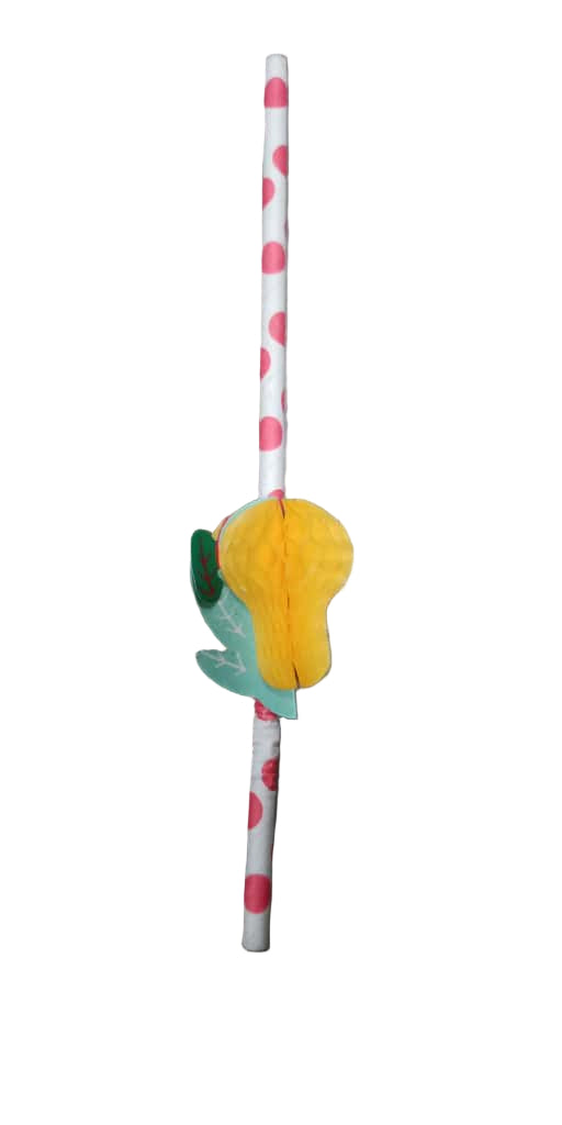 Pineapple Fruit Straw